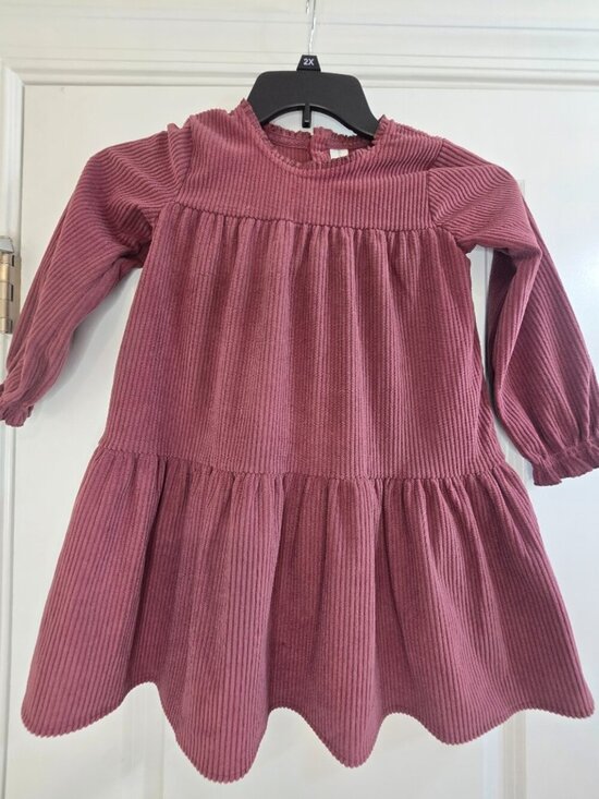 Modern Moments Other - Modern Moments By Gerber Dress with Ruffles - Rose